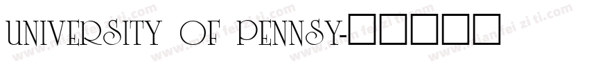 UNIVERSITY OF PENNSY字体转换